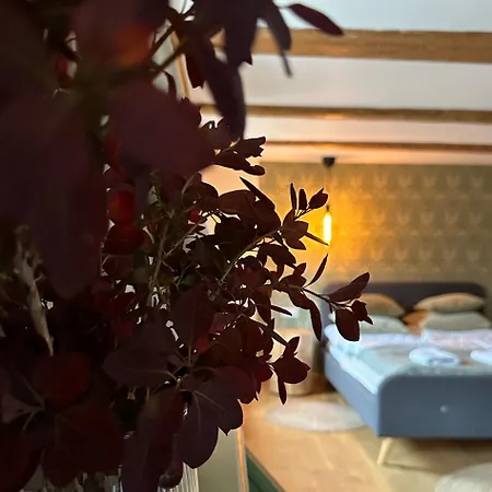 Dom Cukiernika Farma Lwowek Slaski